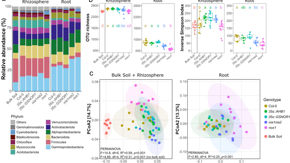 Microbiota responses to mutations affecting NO homeostasis in Arabidopsis thaliana